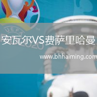 安瓦爾VS費(fèi)薩里哈曼