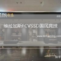 維拉加斯FCVSSD國(guó)民競(jìng)技