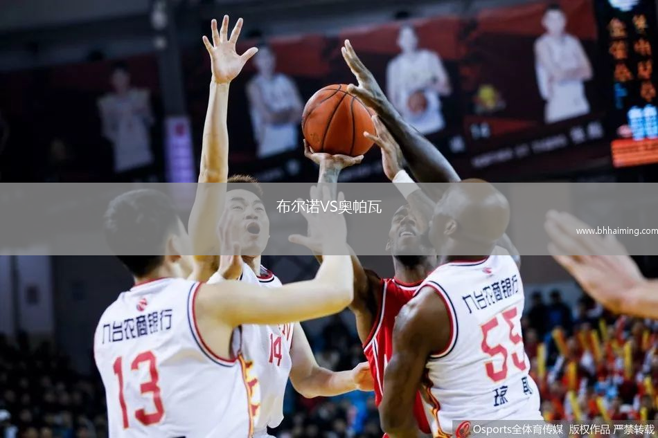 布爾諾VS奧帕瓦