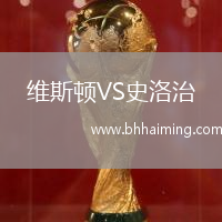 維斯頓VS史洛治