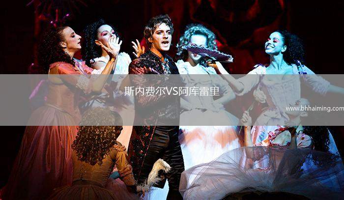 斯內(nèi)費爾VS阿庫雷里