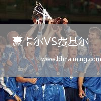 豪卡爾VS費基爾