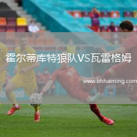 霍爾蒂庫特狼隊VS瓦雷格姆