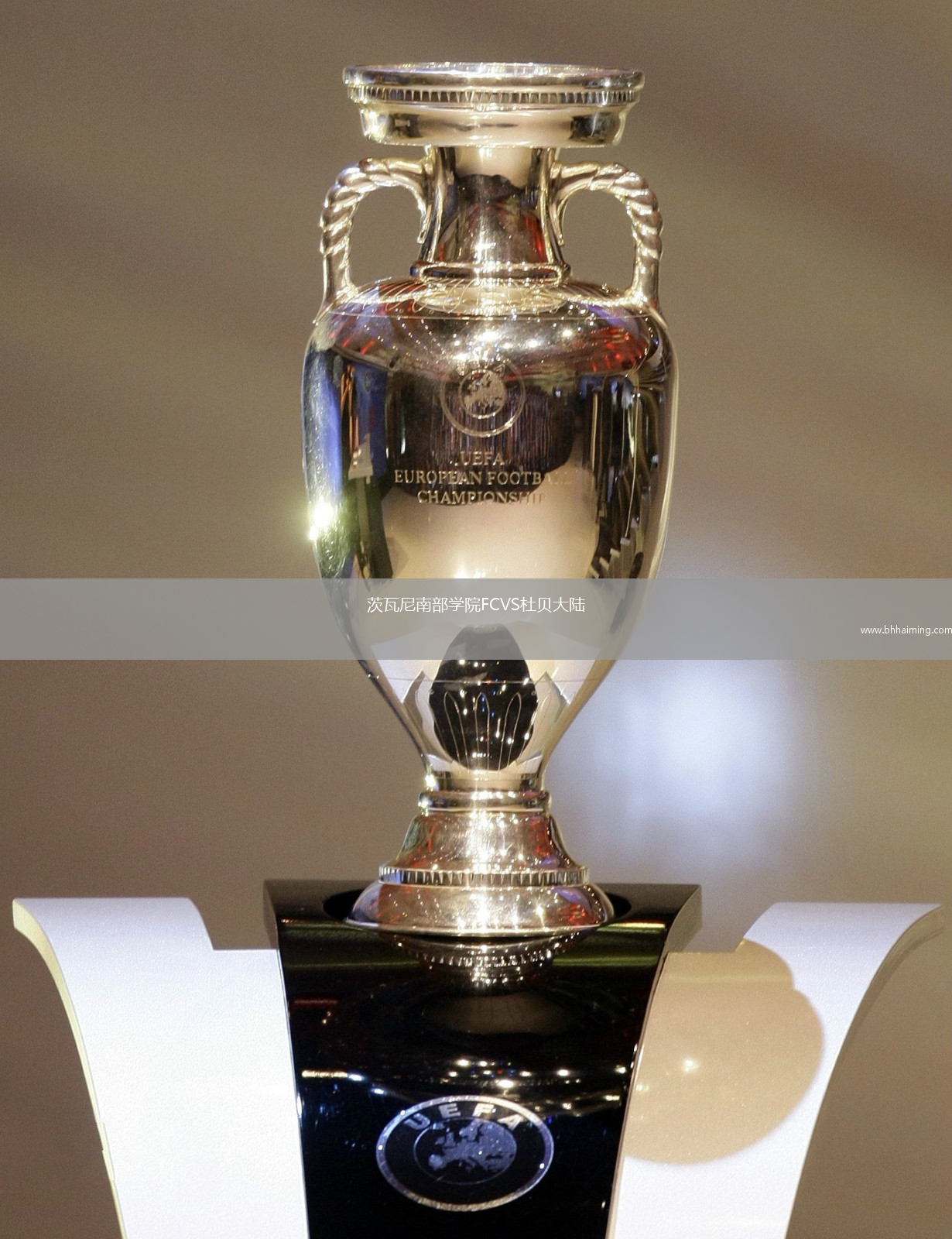 茨瓦尼南部學(xué)院FCVS杜貝大陸