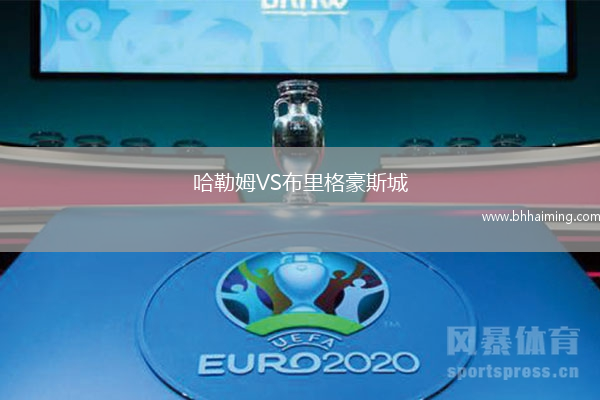 哈勒姆VS布里格豪斯城