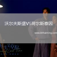 沃爾夫斯堡VS荷爾斯泰因