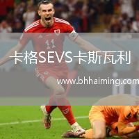 卡格SEVS卡斯瓦利