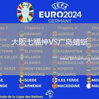 大阪七福神VS廣島蜻蜓