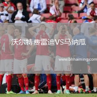 沃爾特費雷迪VS馬納瓜