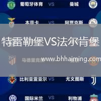 特雷勒堡VS法爾肯堡