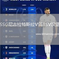 SSG尼古拉特斯拉VSETSV漢堡