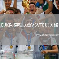 DJK阿德勒聯(lián)合VSVFB洪貝格