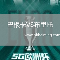 巴根卡VS布里托