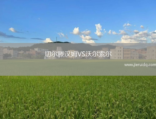 弗羅茨瓦夫青年隊(duì)VS樸盧斯高青年隊(duì)