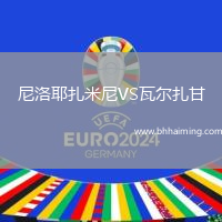 尼洛耶扎米尼VS瓦爾扎甘