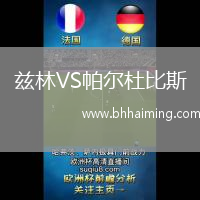 茲林VS帕爾杜比斯