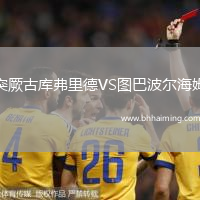 突厥古庫弗里德VS圖巴波爾海姆