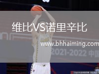 維比VS諾里辛比