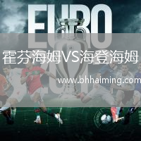 霍芬海姆VS海登海姆