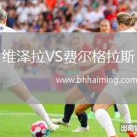 維澤拉VS費爾格拉斯