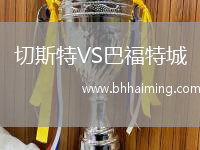 切斯特VS巴福特城