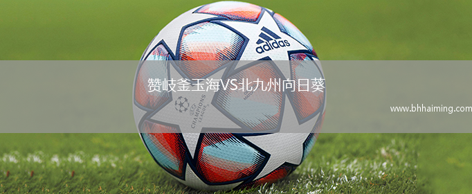 贊岐釜玉海VS北九州向日葵