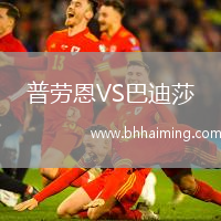 普勞恩VS巴迪莎