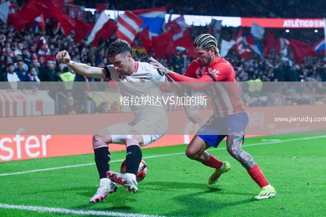 蘇德羅VS戈塔維京人