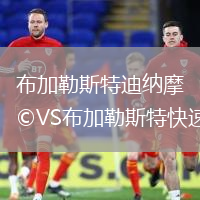 布加勒斯特迪納摩VS布加勒斯特快速