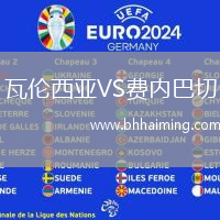 瓦倫西亞VS費(fèi)內(nèi)巴切