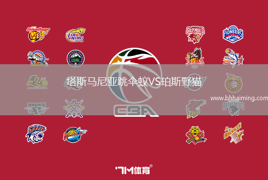 塔斯馬尼亞跳傘蟻VS珀斯野貓