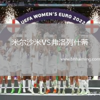 米爾沙米VS弗洛列什蒂