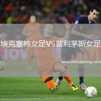 ?？巳嘏鉜S普利茅斯女足