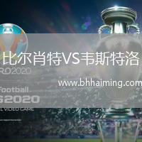 比爾肖特VS韋斯特洛