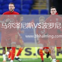 馬爾澤尼斯VS波羅尼