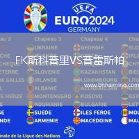 FK斯科普里VS普雷斯帕