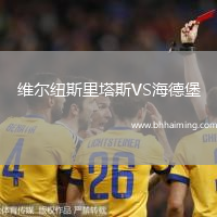 維爾紐斯里塔斯VS海德堡