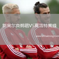 新奧爾良鵜鶘VS夏洛特黃蜂