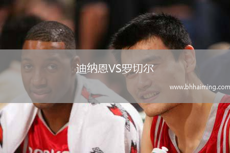 迪納恩VS羅切爾