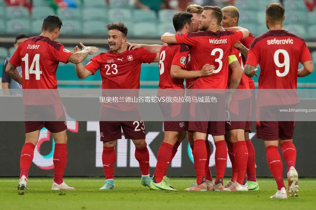 里奧格蘭德山谷毒蛇VS俄克拉荷馬城藍(lán)色