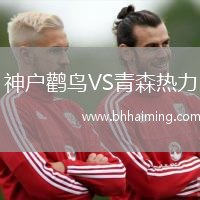 神戶鸛鳥VS青森熱力