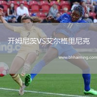 開(kāi)姆尼茨VS艾爾格里尼克