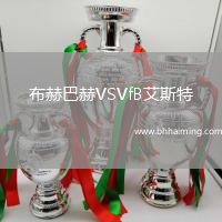 布赫巴赫VSVfB艾斯特