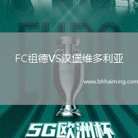 FC祖德VS漢堡維多利亞