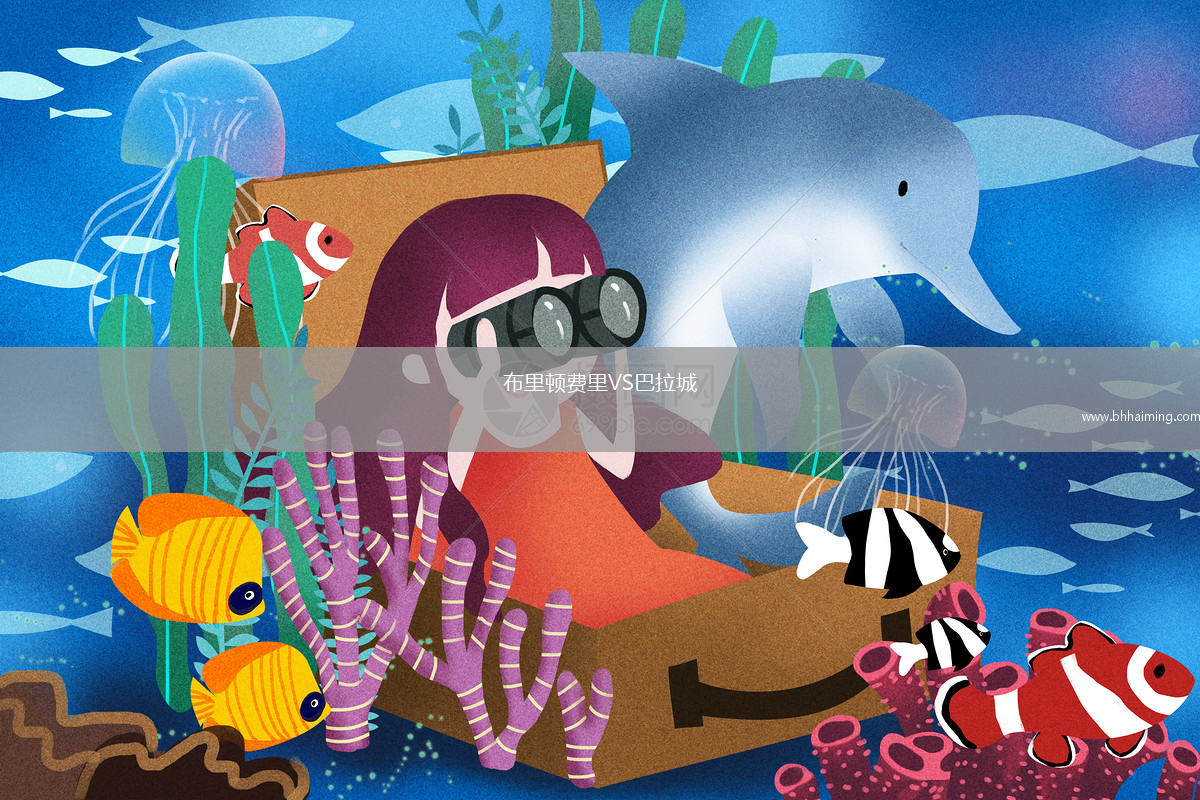 布里頓費(fèi)里VS巴拉城