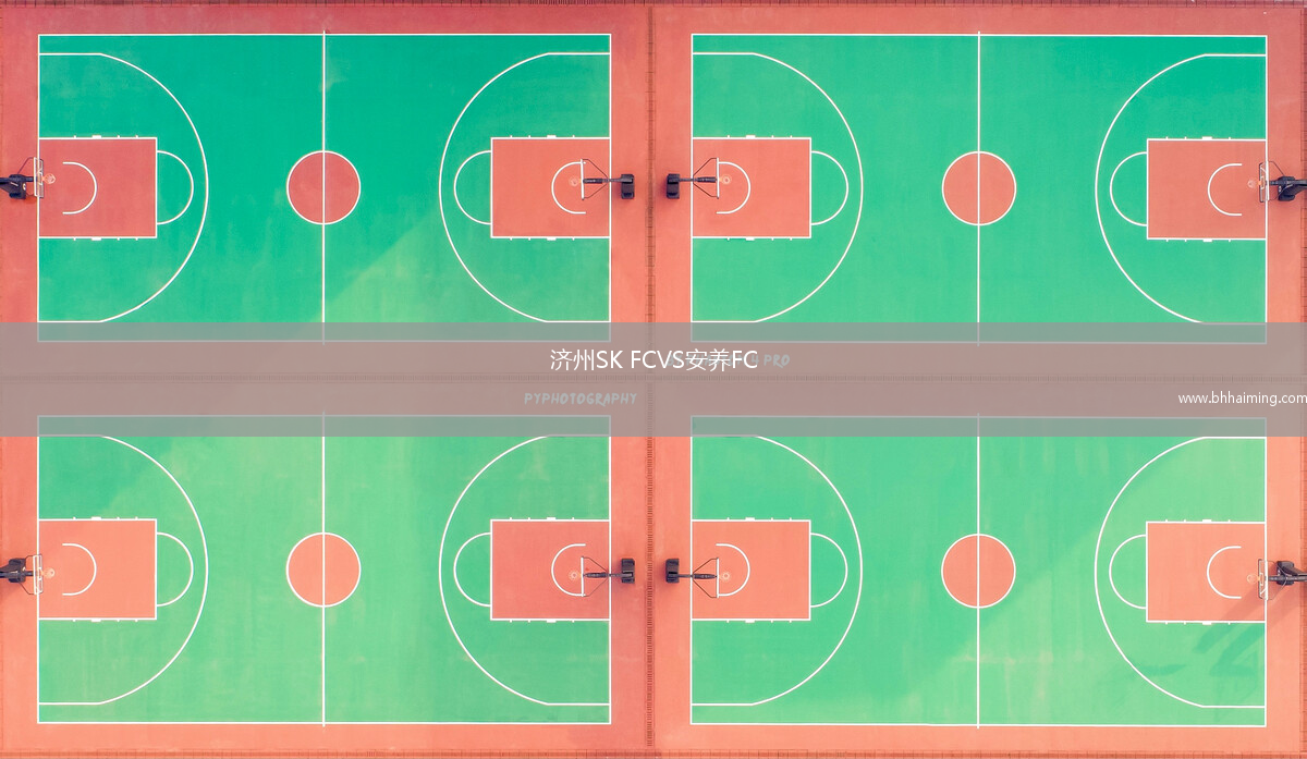 濟(jì)州SK FCVS安養(yǎng)FC