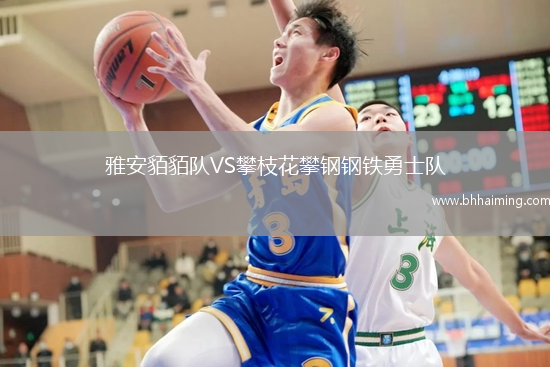 雅安貊貊隊VS攀枝花攀鋼鋼鐵勇士隊