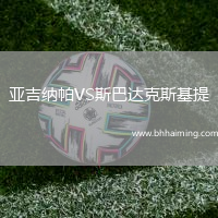 亞吉納帕VS斯巴達克斯基提