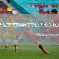 巴尼克莫斯特VS斯拉夫韋爾瓦力