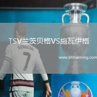 TSV蘭茨貝格VS施瓦伊格